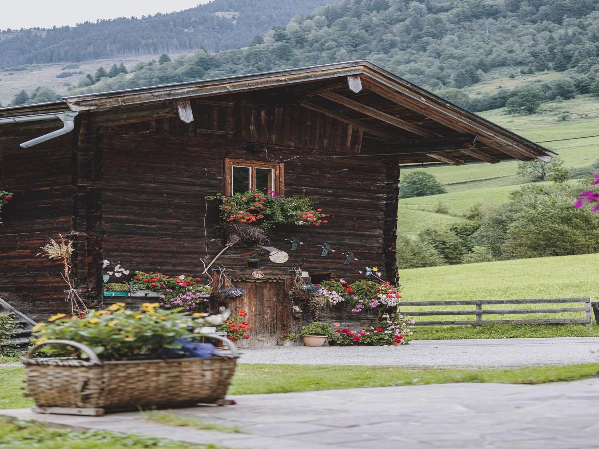 Holiday Home Fusch An Der Glocknerstra E Fusch an der Grossglocknerstrasse Екстер'єр фото